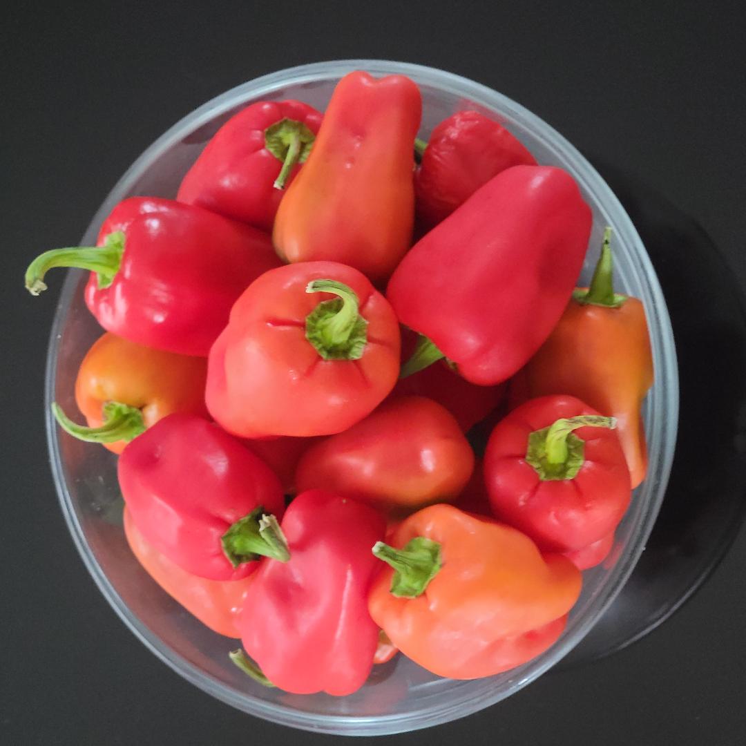 aleppo pepper seeds for planting Aleppo Pepper Seeds