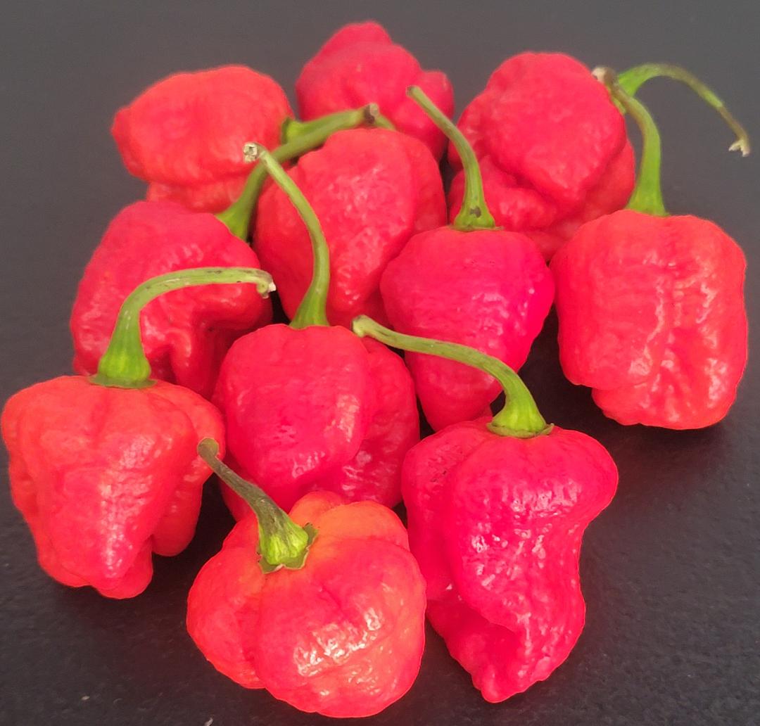 Genghis Kahn Pepper Seeds
