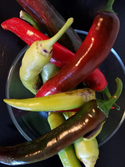 Garden Salsa Pepper Seeds