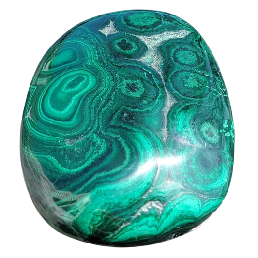 Malachite (Katanga Copper Crescent, Congo) 193 Grams Beautiful piece! (6.8oz)