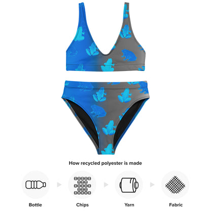 Blue to Gray Frogs Recycled High Waisted Bikini