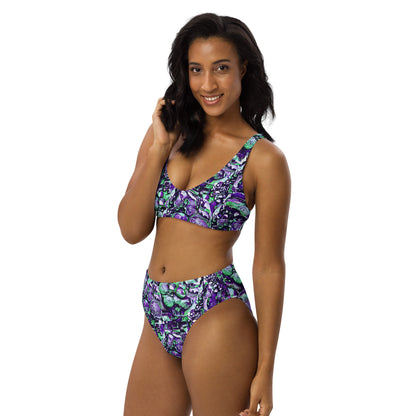 The Blues Recycled High Waisted Bikini