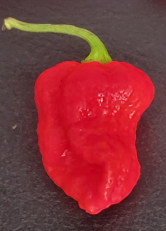 Genghis Kahn Pepper Seeds