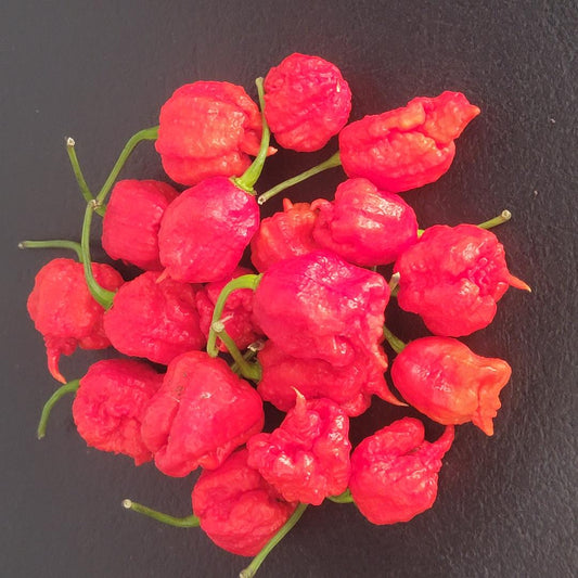 Trinidad Moruga Scorpion Pepper Seeds