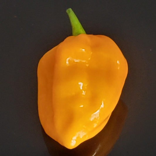 Orange Bubblegum Pepper Seeds