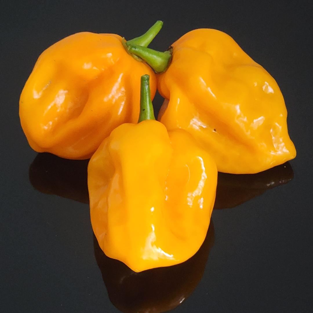 Orange Bubblegum Pepper Seeds