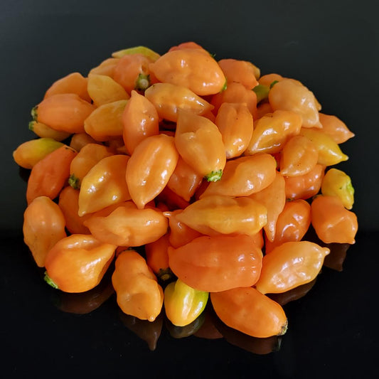 Orange Carbonero Hot Pepper Seeds Tasty Hot Peppers!