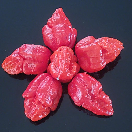 Red Brain Strain Pepper Seeds