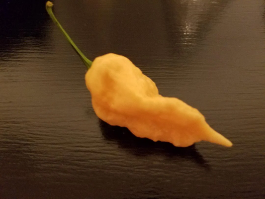 Peach Ghost Pepper Seeds